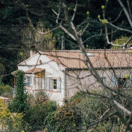 Maison D'Hotes Eco-Responsable Avec Piscine 6X12M Châteaudouble Kültér fotó