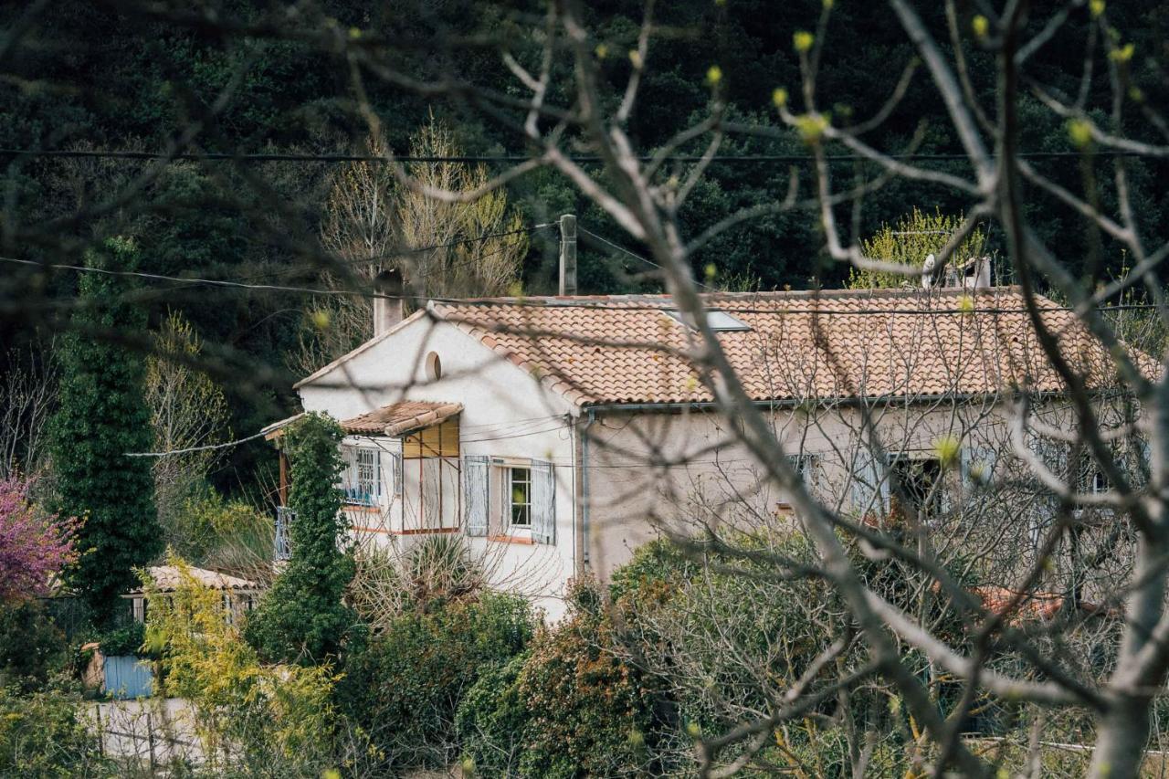 Maison D'Hotes Eco-Responsable Avec Piscine 6X12M Châteaudouble Kültér fotó