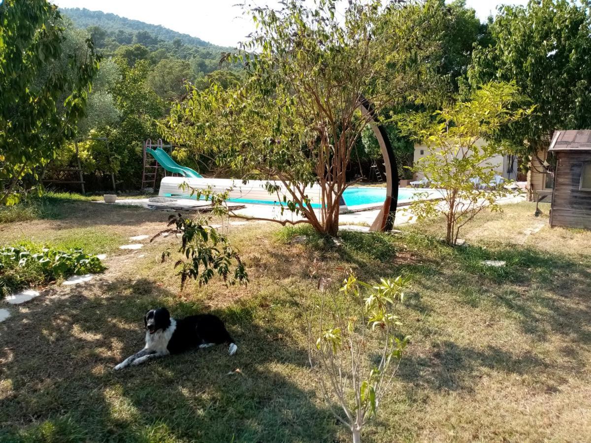 Maison D'Hotes Eco-Responsable Avec Piscine 6X12M Châteaudouble Kültér fotó
